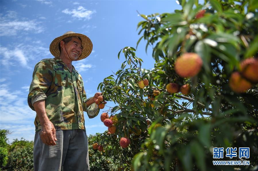 （新華全媒頭條&middot;走向我們的小康生活&middot;圖文互動）（15）留住鄉愁留住美&mdash;&mdash;千村競秀綴瓊州