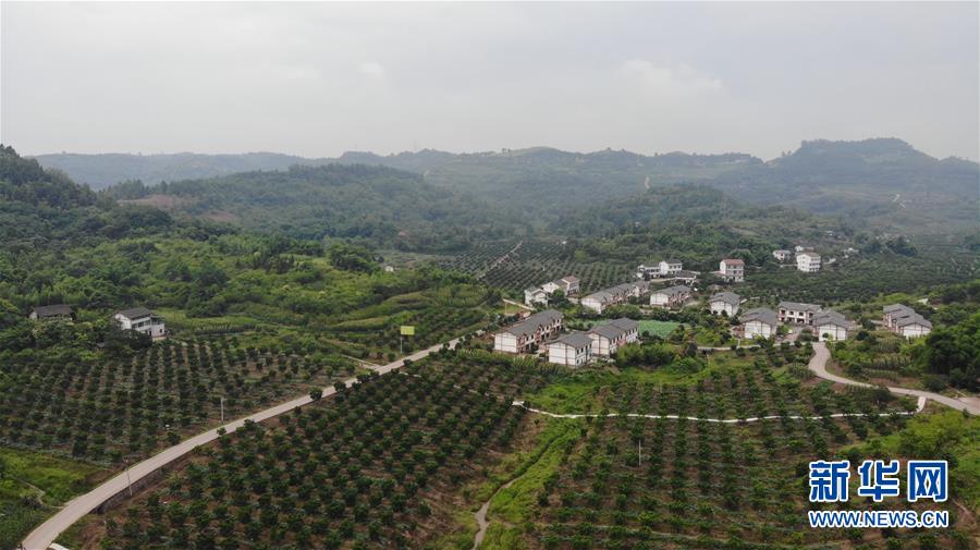 （走向我們的小康生活&middot;圖文互動）（1）擺擺幸福鄉村的新鮮事兒