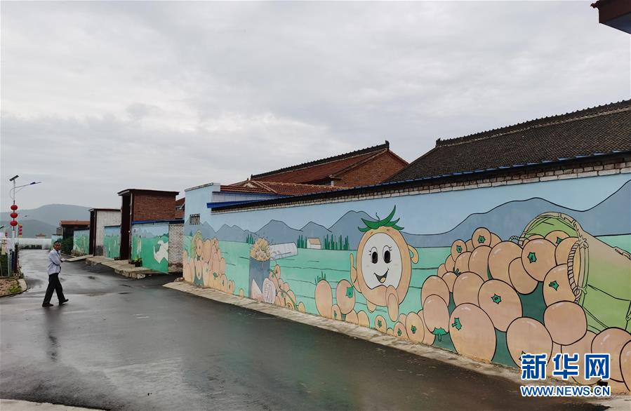 (決戰決勝脫貧攻堅·圖文互動)(1)西紅柿小鎮的“致富經”