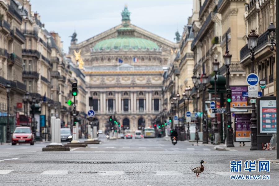 （國際&middot;圖文互動）（4）特稿：穿越寒暑 無問西東&mdash;&mdash;寫在新冠疫情構成&ldquo;國際關注的突發公共衛生事件&rdquo;半年之際