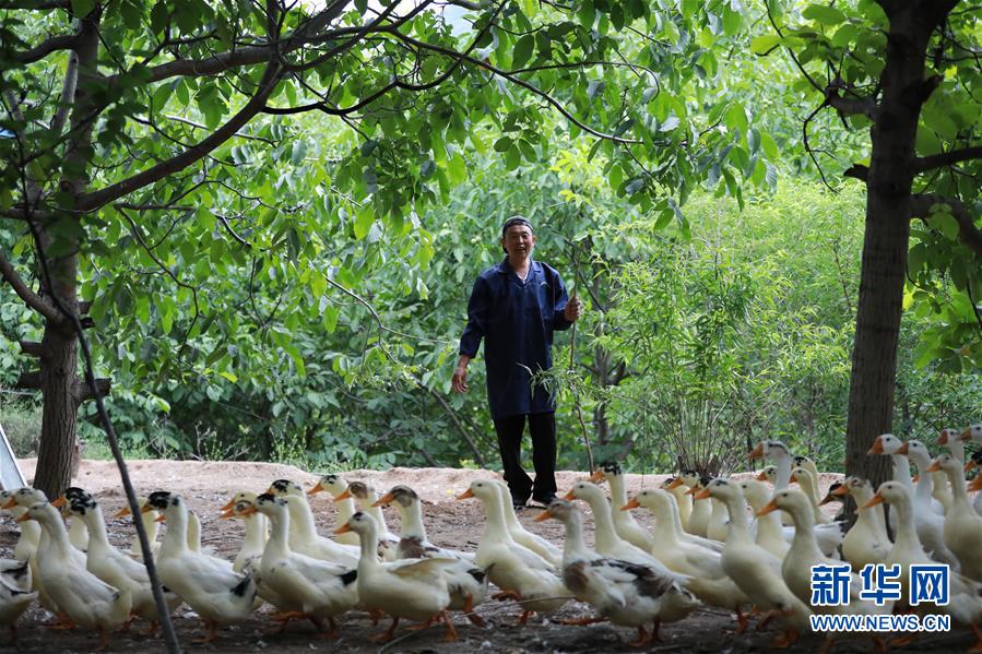 （新華全媒頭條&middot;圖文互動）（8）穩中求進 奮勇前進&mdash;&mdash;從中央政治局會議看中國經濟走勢