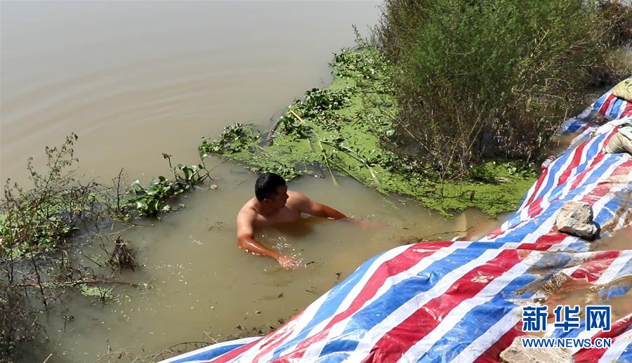 (新華全媒頭條·圖文互動(dòng))(2)筑起共御水患的鋼鐵長堤——戰(zhàn)洪一線的“干群關(guān)系新答卷”