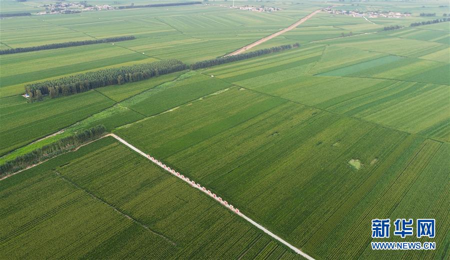 （在習(xí)近平新時(shí)代中國(guó)特色社會(huì)主義思想指引下&mdash;&mdash;新時(shí)代新作為新篇章&middot;習(xí)近平總書(shū)記關(guān)切事&middot;圖文互動(dòng)）（2）為黑土加&ldquo;油&rdquo;&mdash;&mdash;&ldquo;耕地中的大熊貓&rdquo;，我們這樣保護(hù)