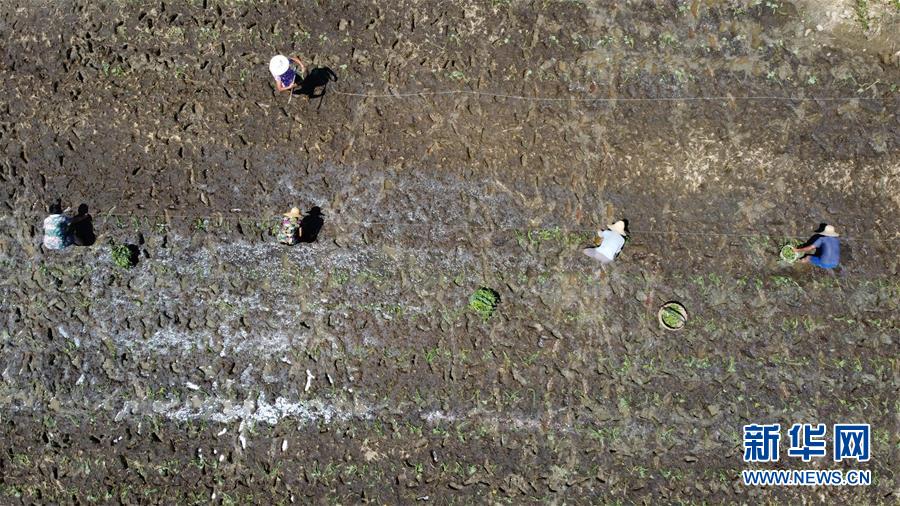 （在習近平新時代中國特色社會主義思想指引下&mdash;&mdash;新時代新作為新篇章&middot;習近平總書記關切事&middot;圖文互動）（8）一切為了人民&mdash;&mdash;寫在全國防汛救災取得階段性重大勝利之時