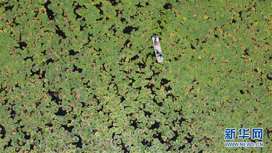 （在習近平新時代中國特色社會主義思想指引下&mdash;&mdash;新時代新作為新篇章&middot;習近平總書記關切事&middot;圖文互動）（12）一切為了人民&mdash;&mdash;寫在全國防汛救災取得階段性重大勝利之時