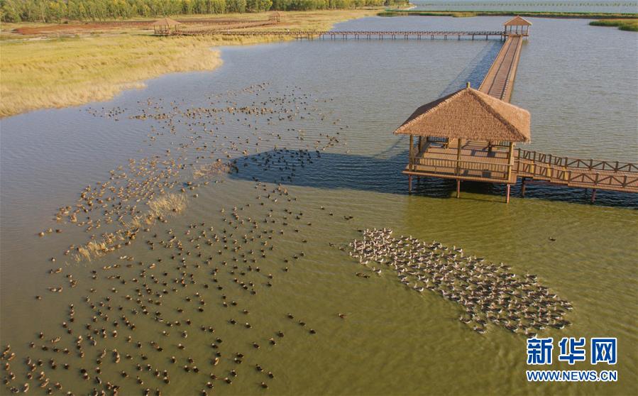 （新華全媒頭條&middot;圖文互動）（9）奮力書寫東北振興的時代新篇&mdash;&mdash;習近平總書記調研東北三省并主持召開深入推進東北振興座談會紀實