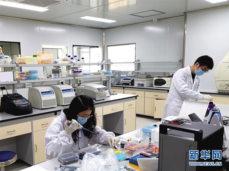 (在習近平新時代中國特色社會主義思想指引下——新時代新作為新篇章·習近平總書記關切事·圖文互動)(5)高擎利劍驅疫魔——科研攻關助力湖北戰“疫”記