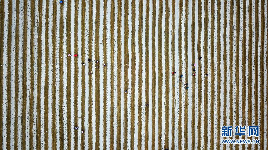 (在習近平新時代中國特色社會主義思想指引下——新時代新作為新篇章·習近平總書記關切事·圖文互動)(6)啃下最后的硬骨頭——脫貧攻堅掛牌督戰進行時