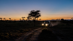 與獅同行&mdash;&mdash;東非草原上的中國追夢人