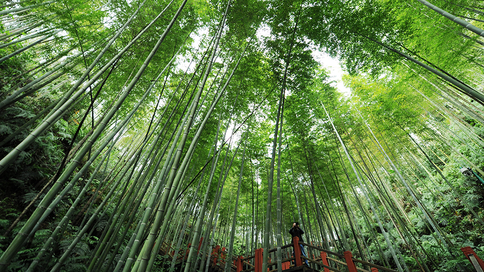 合作共治、責任共擔、效益共享&mdash;&mdash;赤水河流域跨省生態補償取得積極成效