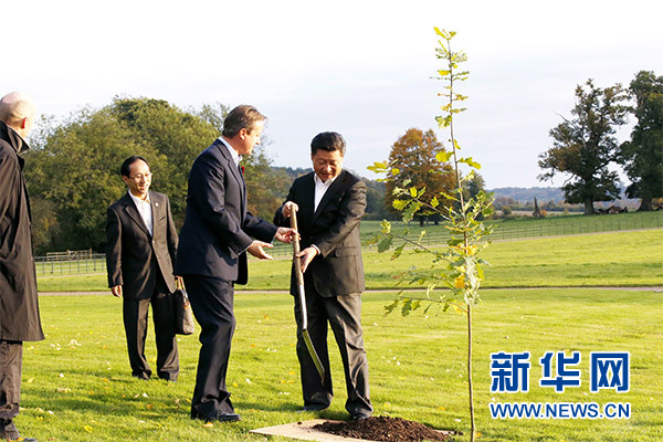 兩國領導人一同在別墅草坪，共同種下象征中英友誼的橡樹。新華社記者 鞠鵬 攝