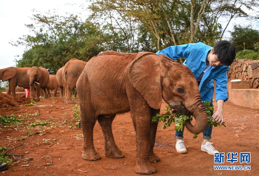 （國際&middot;圖文互動）（2）專訪：環保要以身作則 從身邊小事做起&mdash;&mdash;訪聯合國環境署親善大使王俊凱