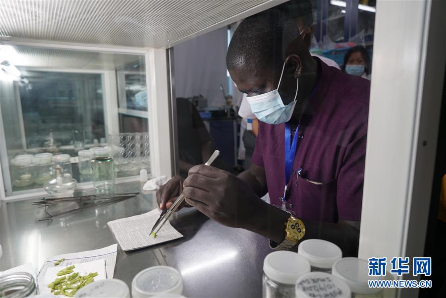 (在習(xí)近平新時代中國特色社會主義思想指引下——新時代新作為新篇章·總書記關(guān)切開放事·圖文互動)(8)來中國“學(xué)種地”的“洋學(xué)生”