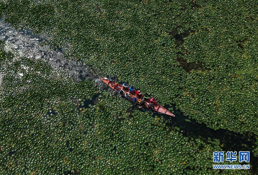 （國(guó)際&middot;年終報(bào)道）（8）2019，精&ldquo;彩&rdquo;紛呈