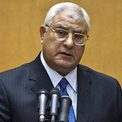 埃及臨時總統稱將致力推進大選